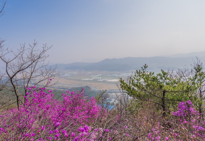 10mb20260328-0946-A1_02936 .jpg