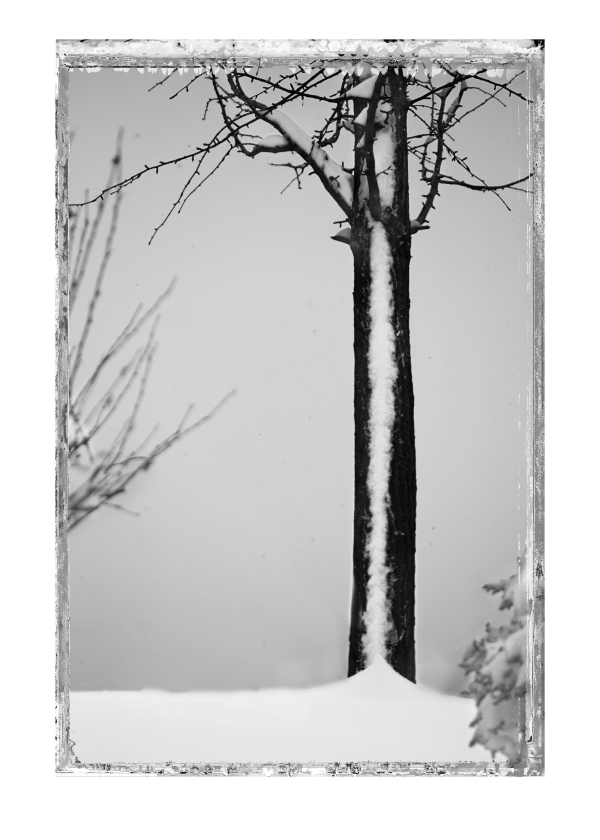 THE ONE AND ONLY DAY THE SNOW STAYED 2010.jpg