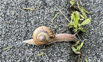 ������ �ӵ�.jpg