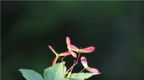 ������ ��.jpg